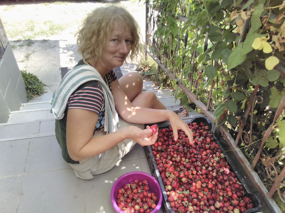 2016 06 06 Erdbeeren Erdbeermarmelade Heidi