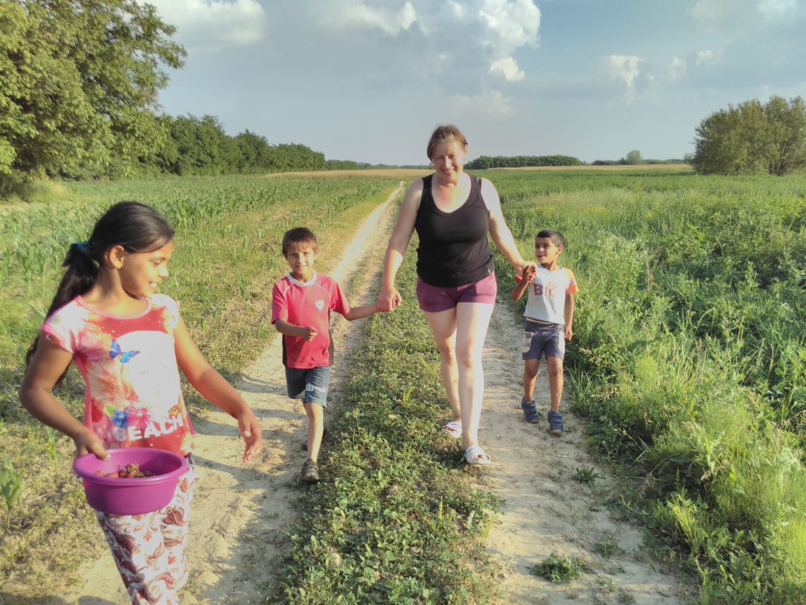 2018 06 06 Erdbeeren Erdbeerernte Erika