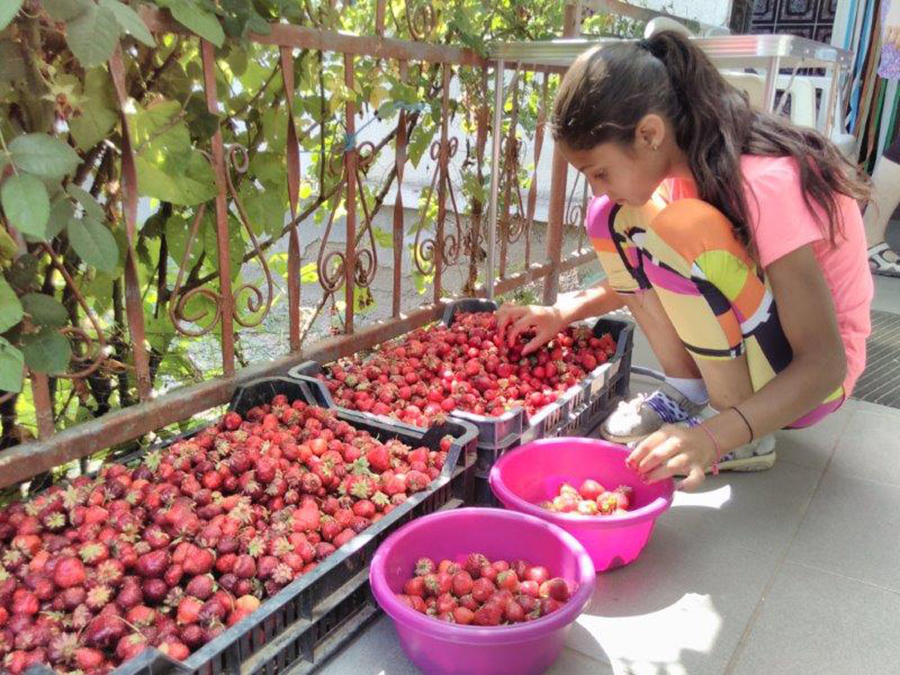 BuKi Erdbeermarmelade 2016 06 06