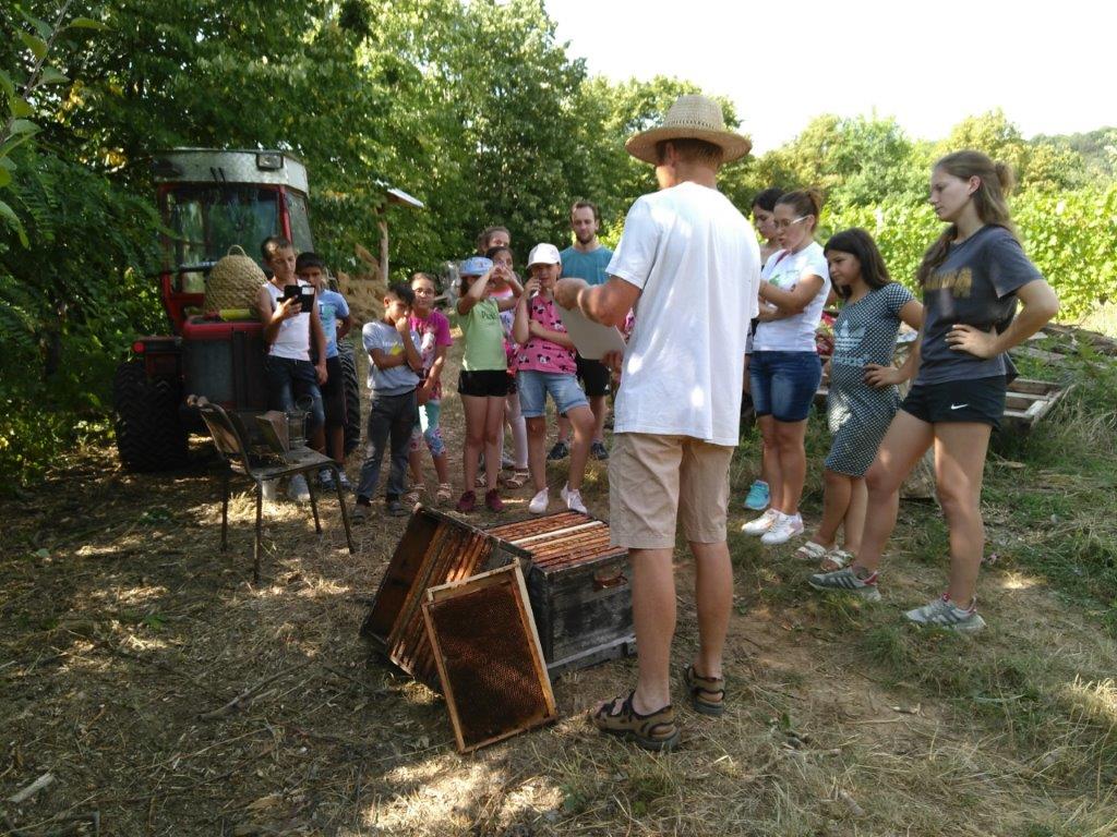 2019 08 10 Imkern bei Josef Sporrer BuKi Kindersommer (1)