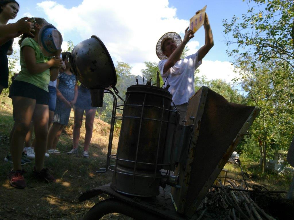 2019 08 10 Imkern bei Josef Sporrer BuKi Kindersommer (2)