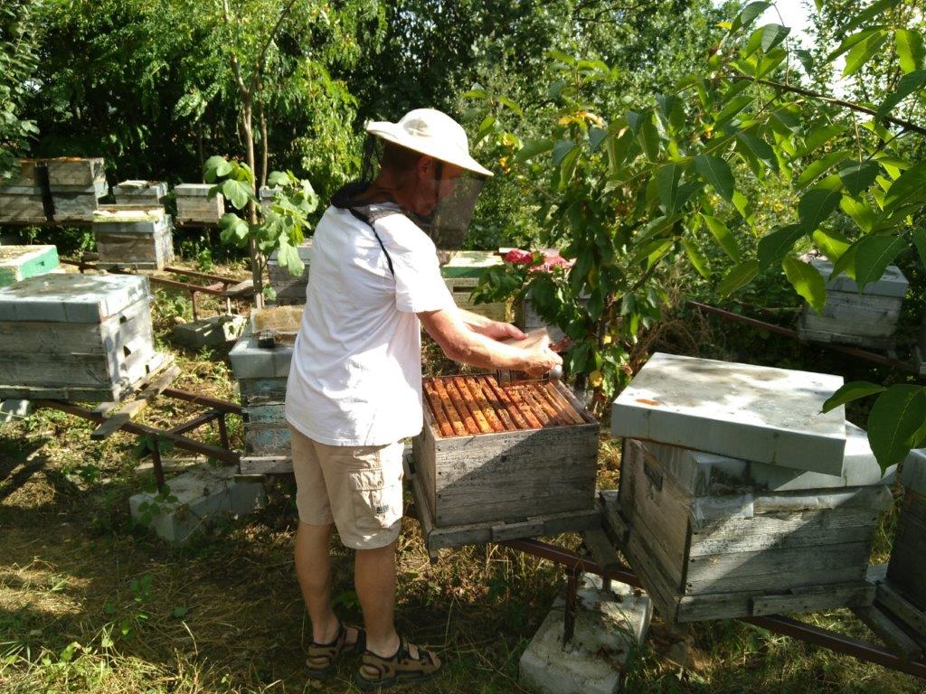 2019 08 10 Imkern bei Josef Sporrer BuKi Kindersommer (3)