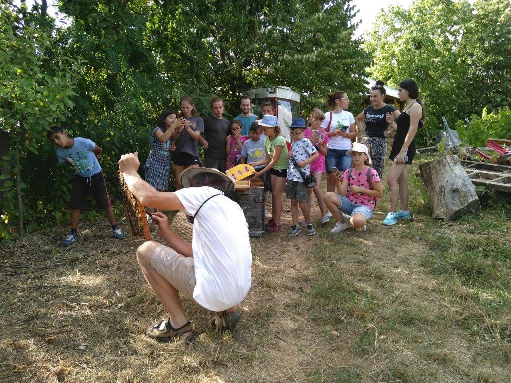 2019 08 10 Imkern bei Josef Sporrer BuKi Kindersommer (4)