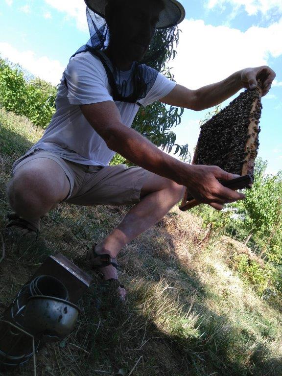 2019 08 10 Imkern bei Josef Sporrer BuKi Kindersommer (6)