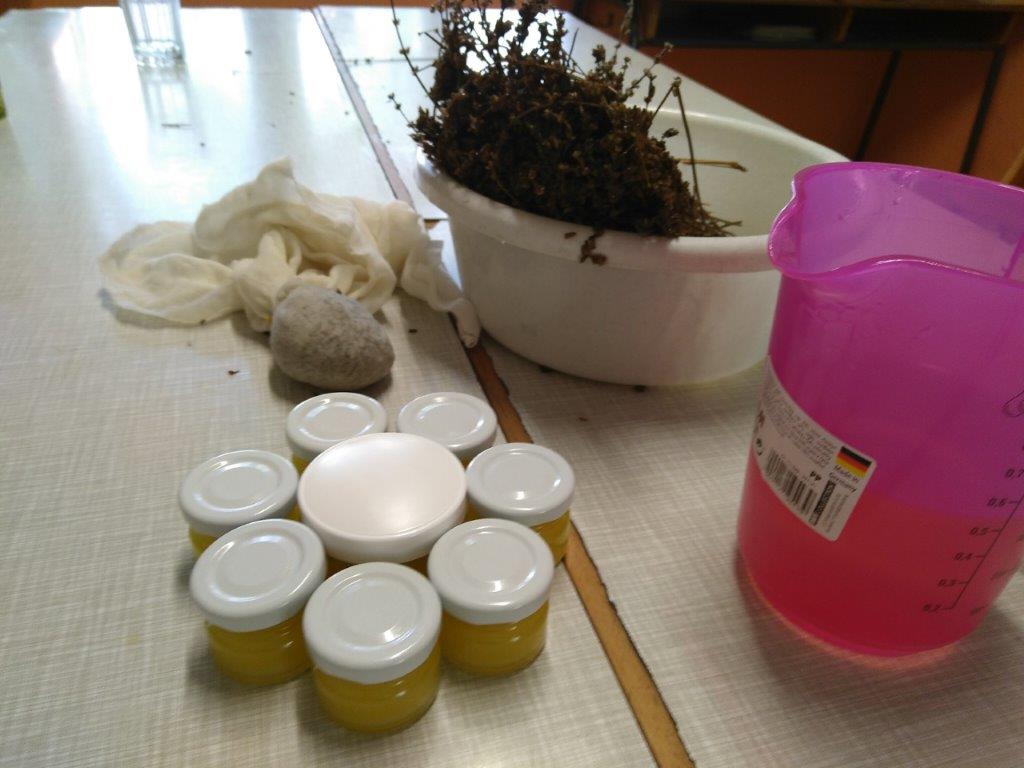 2019 08 13 Herstellen von Salben und Ölen Greta Marcu BuKi Kindersommer (6)