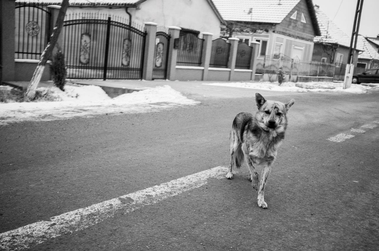 Uwe Keuerleber Bildgeschichten aus dem BuKi-Haus in Cidreag (1)