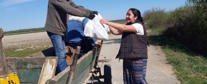 Lebensmittelpakete werden an Familien übergeben