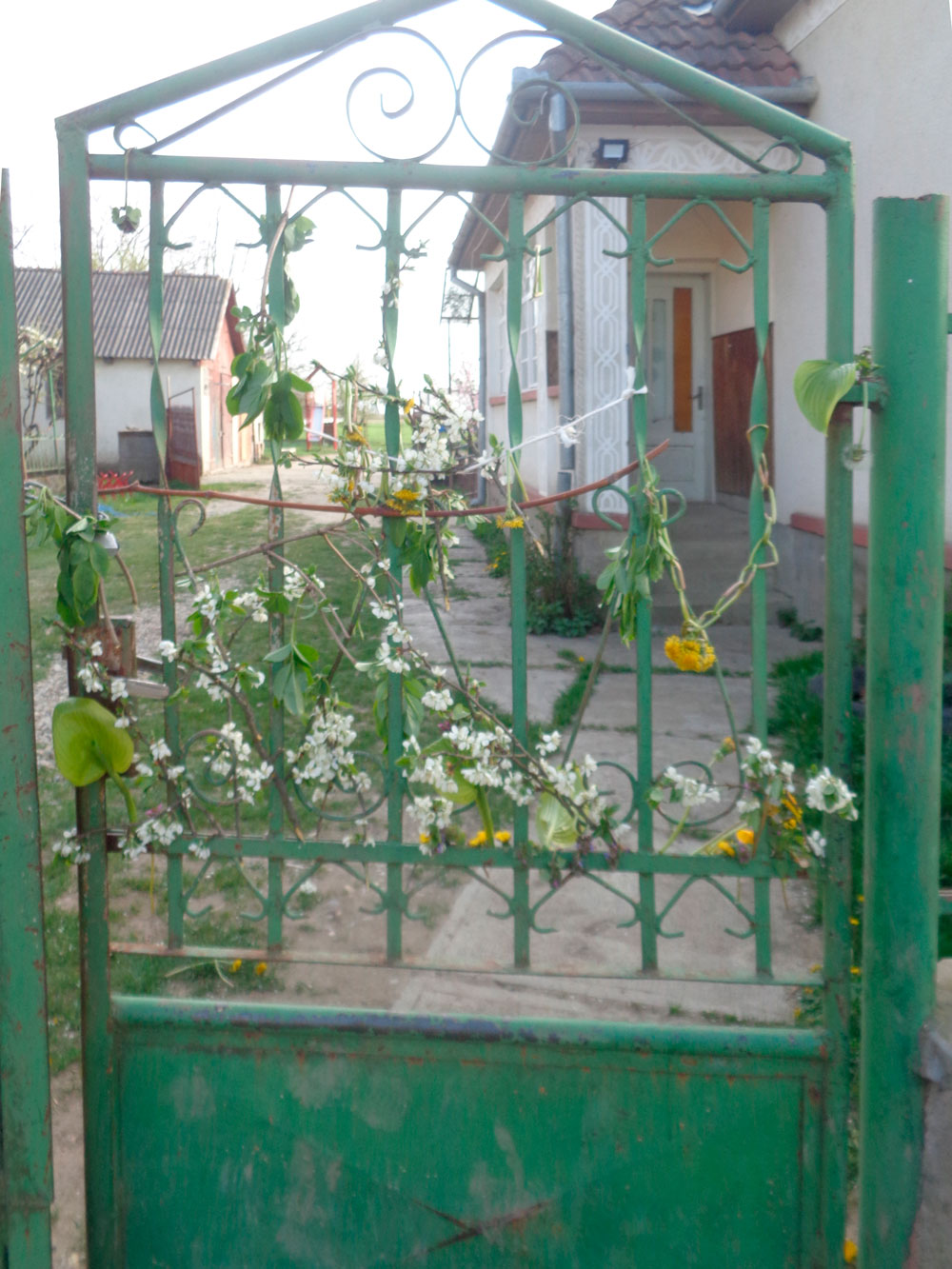 2020-04-15-Lebensmittelverteilung-6