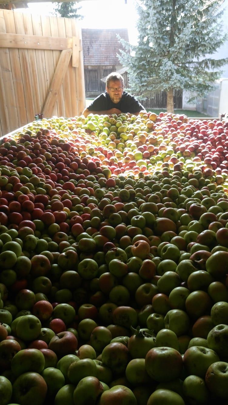 BuKi-Bio-Apfelsaft vom Bussen (2)