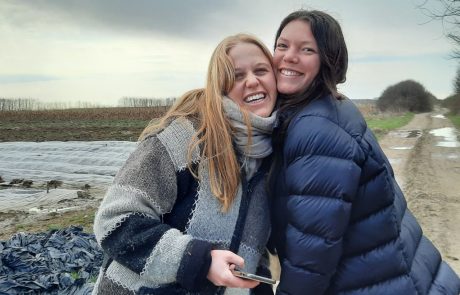 Sozialpraktikum oder Auslandspraktikum bei BuKi