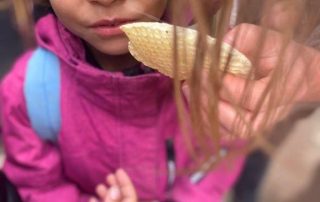 image00036 Bienenwoche