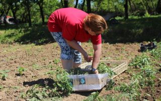 Garten Soziale Arbeit Gartenarbeit