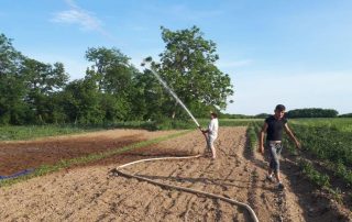 Gartenarbeit Soziale Arbeit Garten