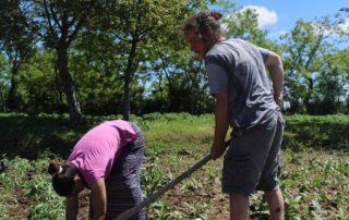 Gartenarbeit BuKi Gartenarbeit