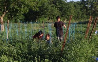 Gartenarbeit Kinder Soziale Arbeit Garten