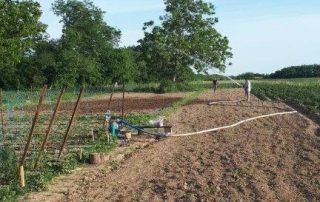 Gartenarbeit Kinder BuKi Gartenarbeit