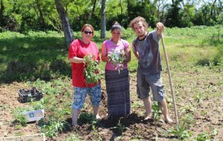 Gartenarbeit Soziale Arbeit Soziale Arbeit Garten