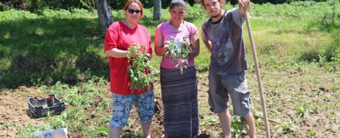 Soziale Arbeit Garten