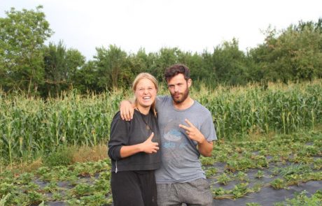 Freiwilligendienst bei BuKi