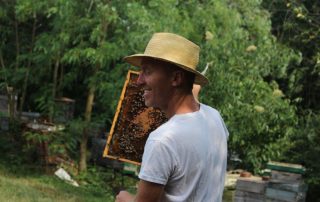 Bienen Honig Imker