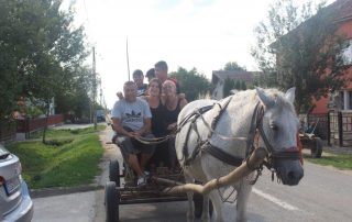Reiten Pferdefuhrwerk Ausflug