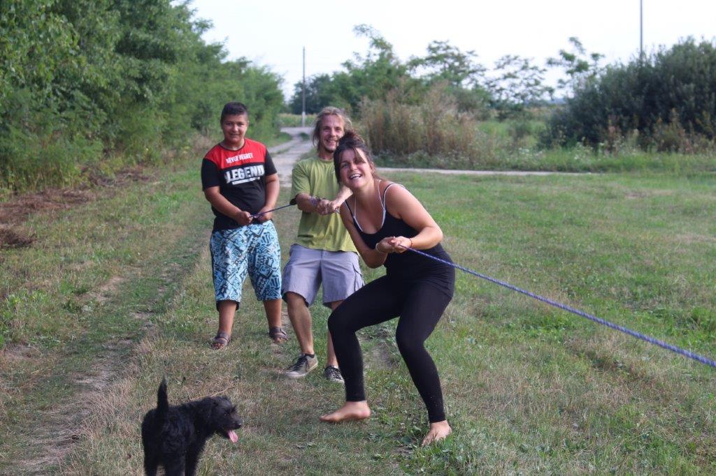 Pferd Ausflug Sommerprogramm