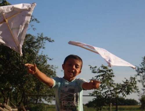 BuKi – Kindersommer 2021: buntes Programmangebot für die Kinder