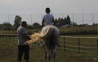 Sonnenuntergang Pferd