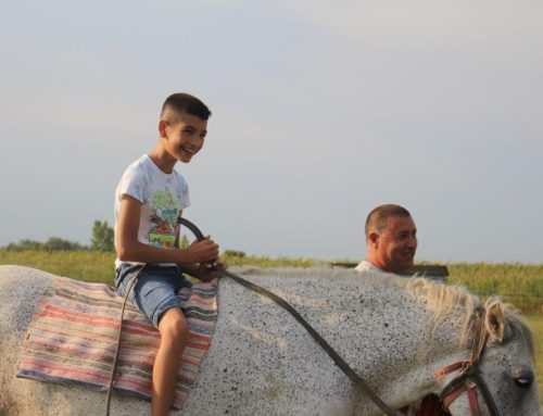 Reiten, Rennen, Braten – Ausflug mit dem Pferdefuhrwerk