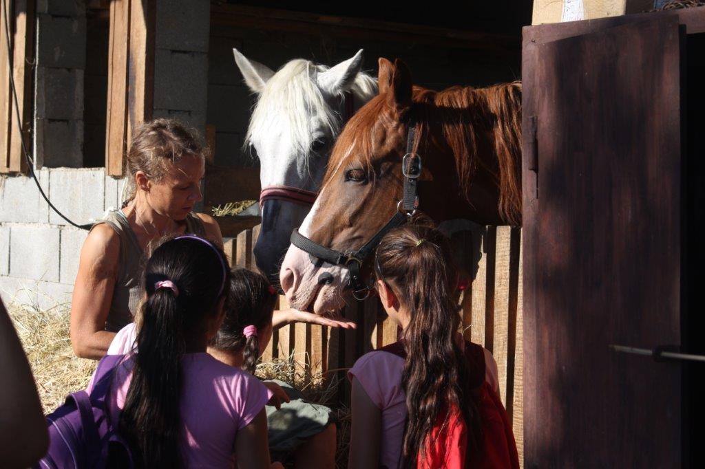 2021 08 06 Imkern bei Josef Sporer (1)