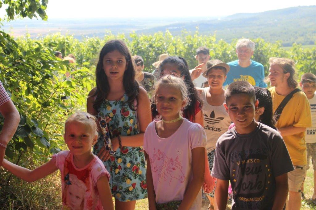 2021 08 06 Imkern bei Josef Sporer (11)