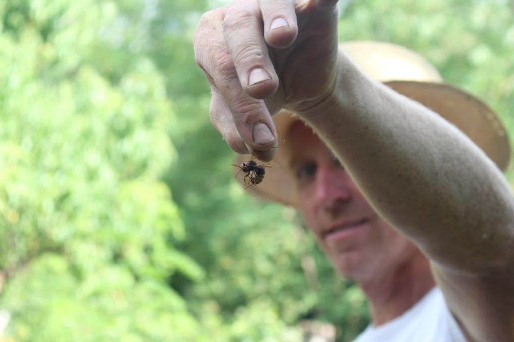 2021 08 06 Imkern bei Josef Sporer (13)