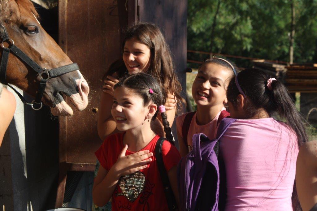 2021 08 06 Imkern bei Josef Sporer (2)