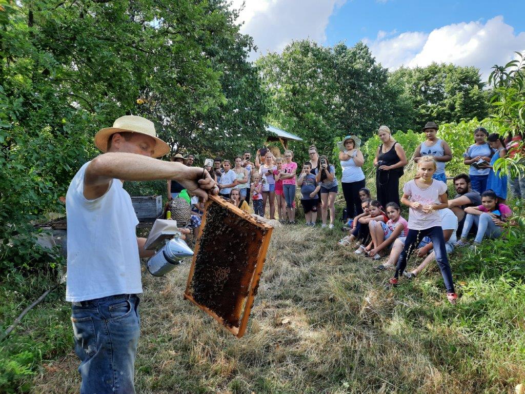 2021 08 06 Imkern bei Josef Sporer (4)
