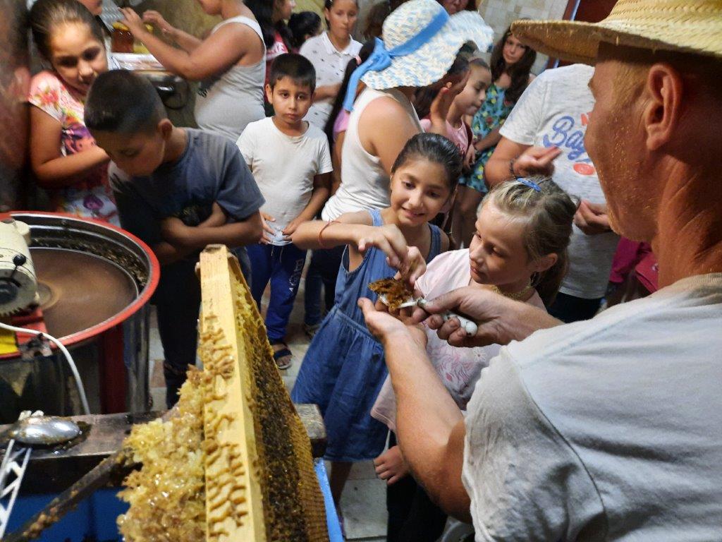 2021 08 06 Imkern bei Josef Sporer (6)