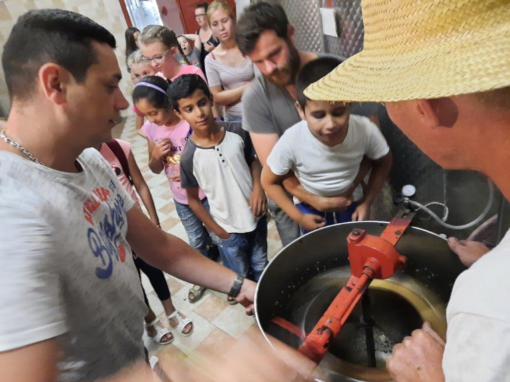 2021 08 06 Imkern bei Josef Sporer (7)