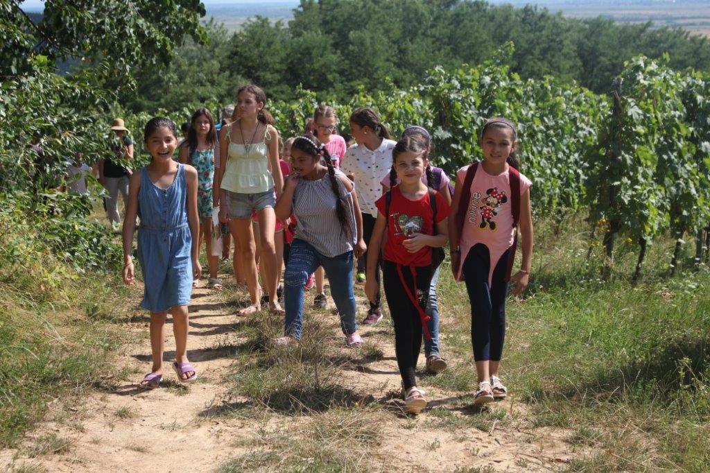 2021 08 06 Imkern bei Josef Sporer (9)