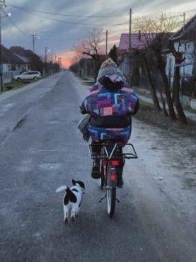 2022 02 22 Momo Mäxle und hungerige Vögel (5)