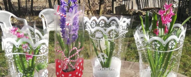 Internationaler Frauentag im BuKi-Haus