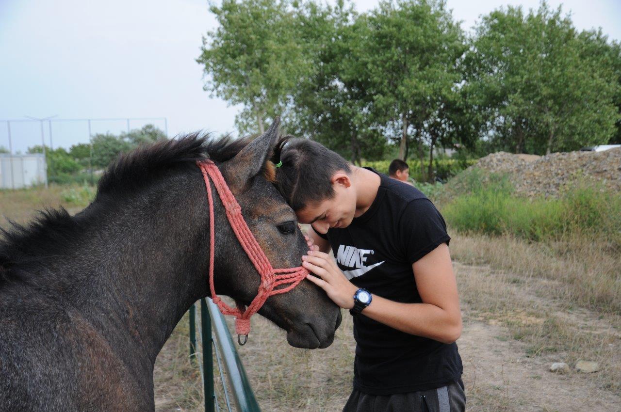 2022 08 19 Kutschenfahrt und Reiten mit Ference (16)
