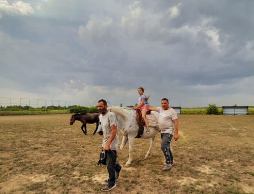 BuKi Kindersommer 2022 – ein großes Ereignis