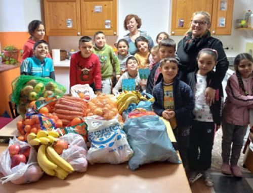 Besuch aus Satu Mare