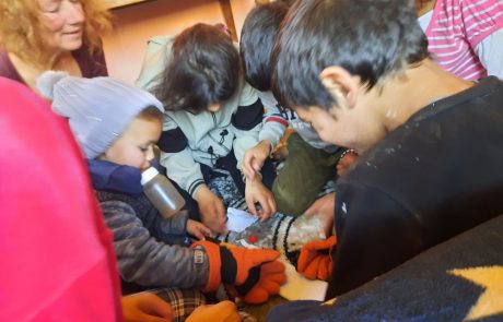 Was sind schon Kleider und Lebensmittel im Vergleich zu einem unterhaltsamen Spiel?