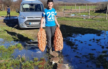 Dennoch auf Lebensmittel sind wichtig.